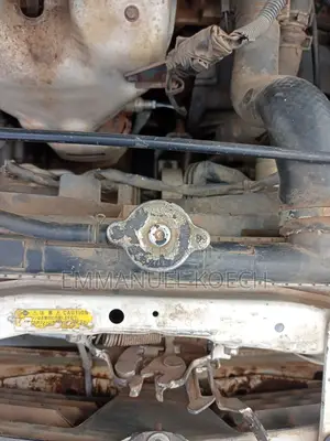 Nissan FB15 2001 White