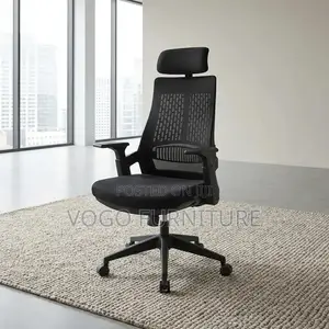 Office Chair; Lama Orthopedic Office Chair