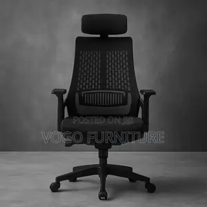Office Chair; Lama Orthopedic Office Chair