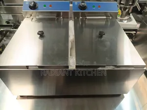 Electric Fryer 20l