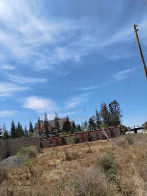 Real Estate