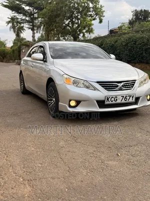 Toyota Mark X 2010 Silver