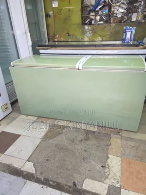 Exuk Deep Freezer/600litrs