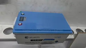 Solarpex Rechargeable Lithium Iron Phosphate LiFePo4 Battery 100ah