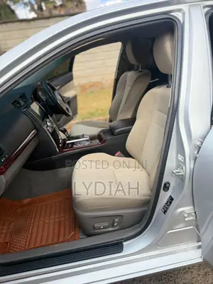 Toyota Mark X 2010 Silver