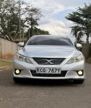 Toyota Mark X 2010 Silver