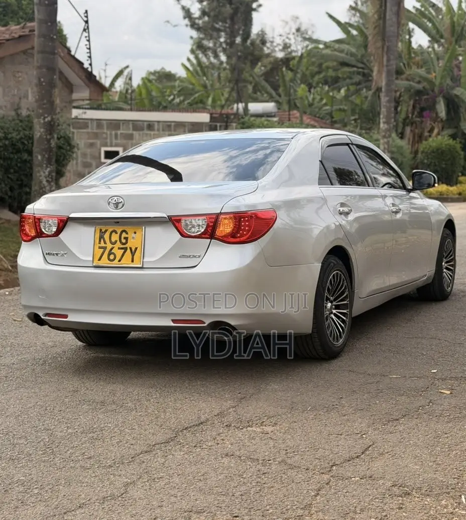 Toyota Mark X 2010 Silver