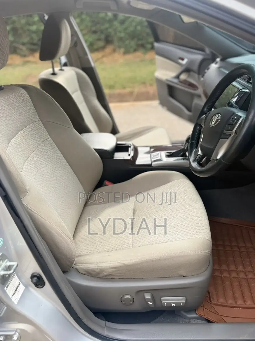 Toyota Mark X 2010 Silver