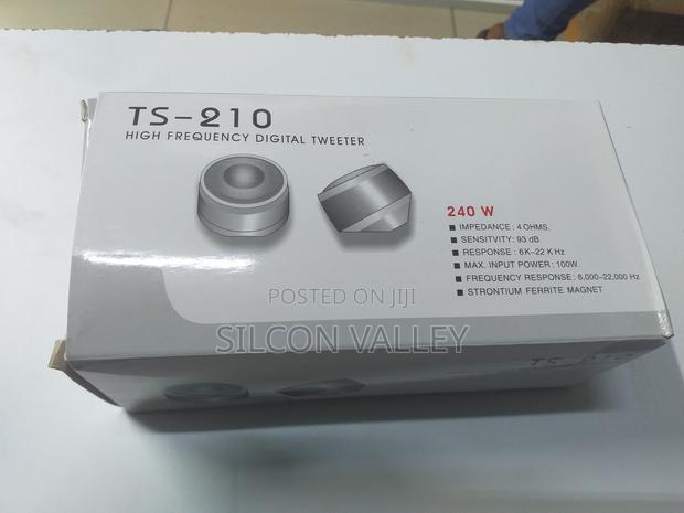 Alto Professional TS210 Tweeter (Model HG00602)