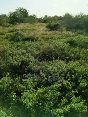 2 Acres for Sale at Malindi Sosobora Area