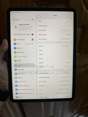 Apple iPad Pro 11 (2018) 256 GB Gray