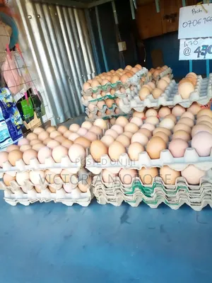Eggs Layers and Kienyeji for Sale