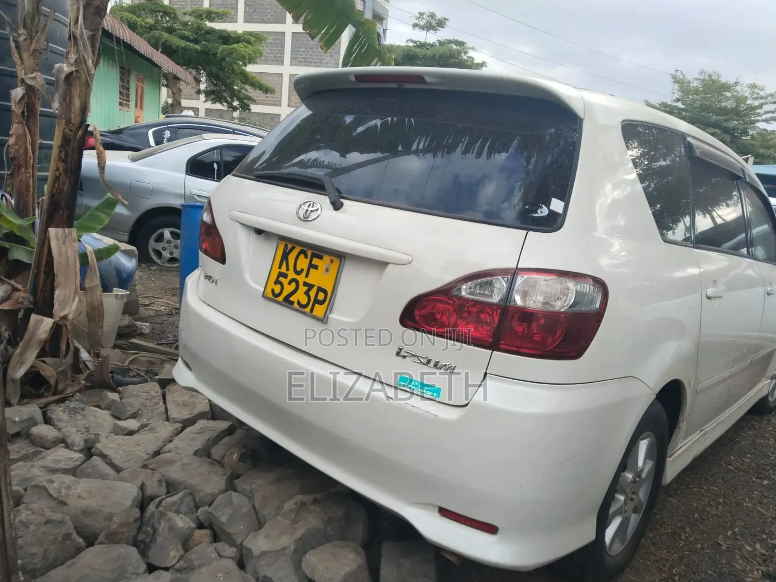 Toyota Ipsum 2009 White