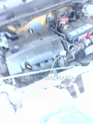 Toyota Probox 2010 Silver
