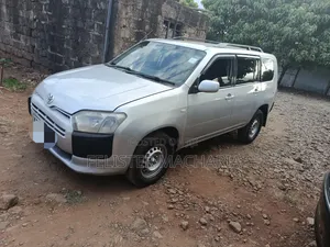 Toyota Probox 2010 Silver