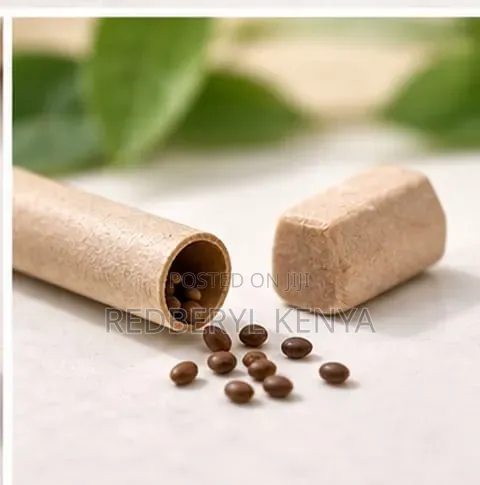 Eco Friendly Pens