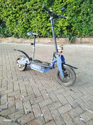 Roadmaster Rex 2024 Blue