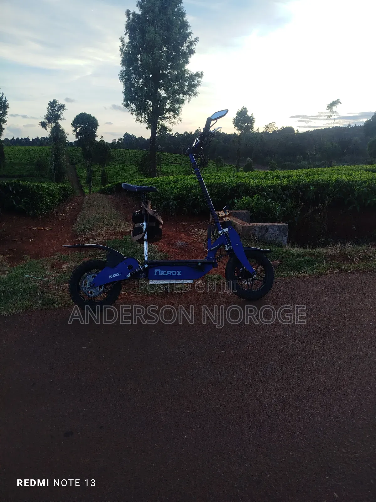 Roadmaster Rex 2024 Blue
