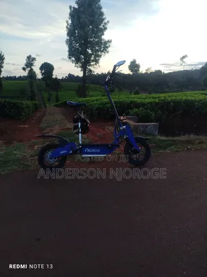 Roadmaster Rex 2024 Blue