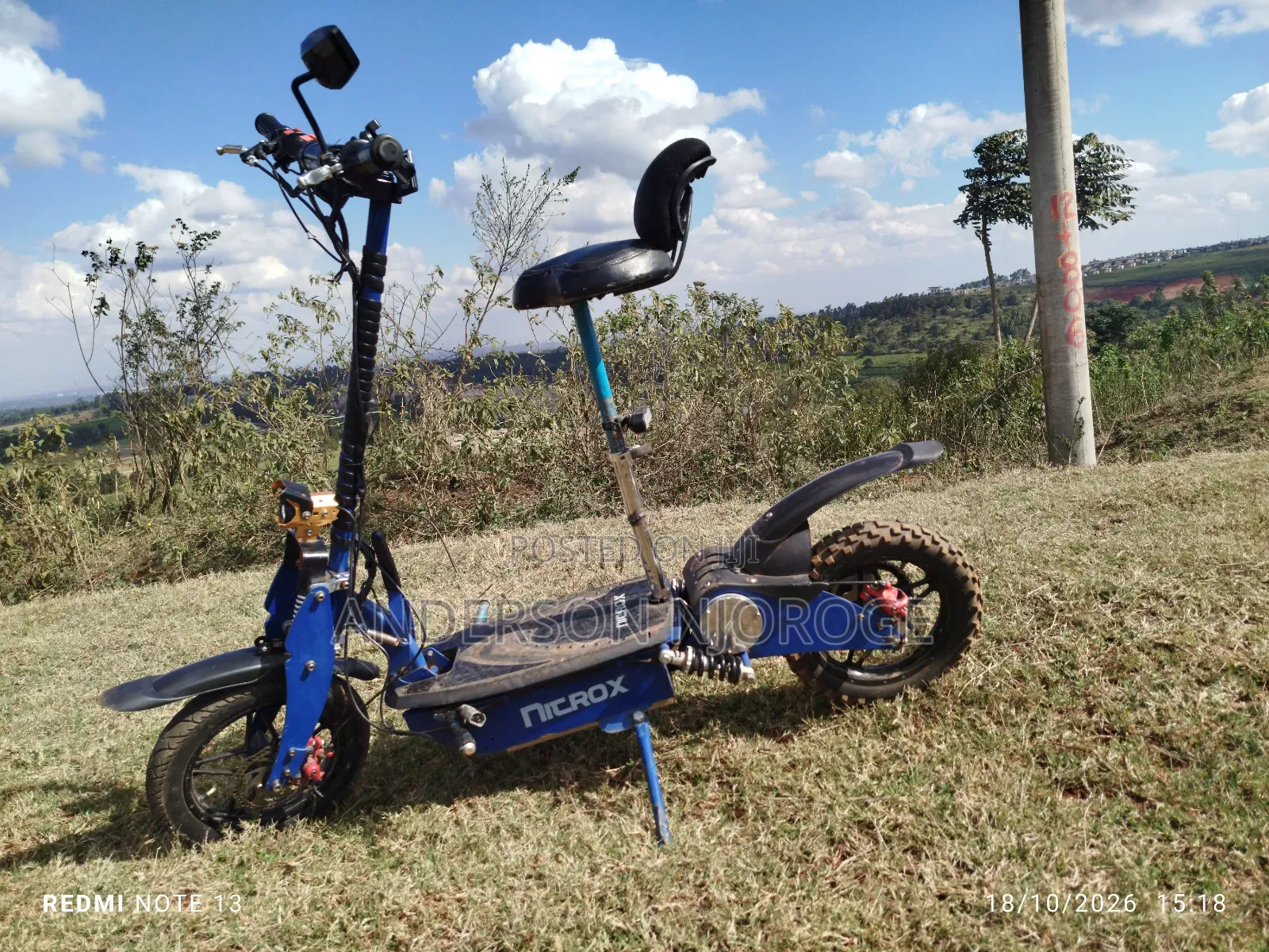 Roadmaster Rex 2024 Blue