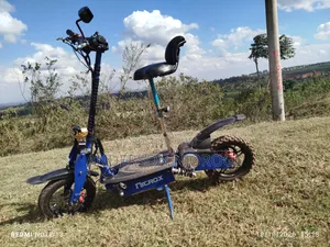 Roadmaster Rex 2024 Blue
