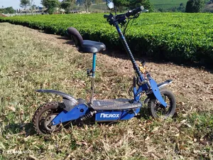 Roadmaster Rex 2024 Blue