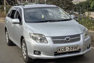 Toyota Corolla Fielder 2009 Brown