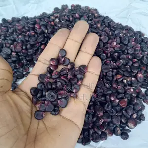 Maize Morado, Heirloom Maize