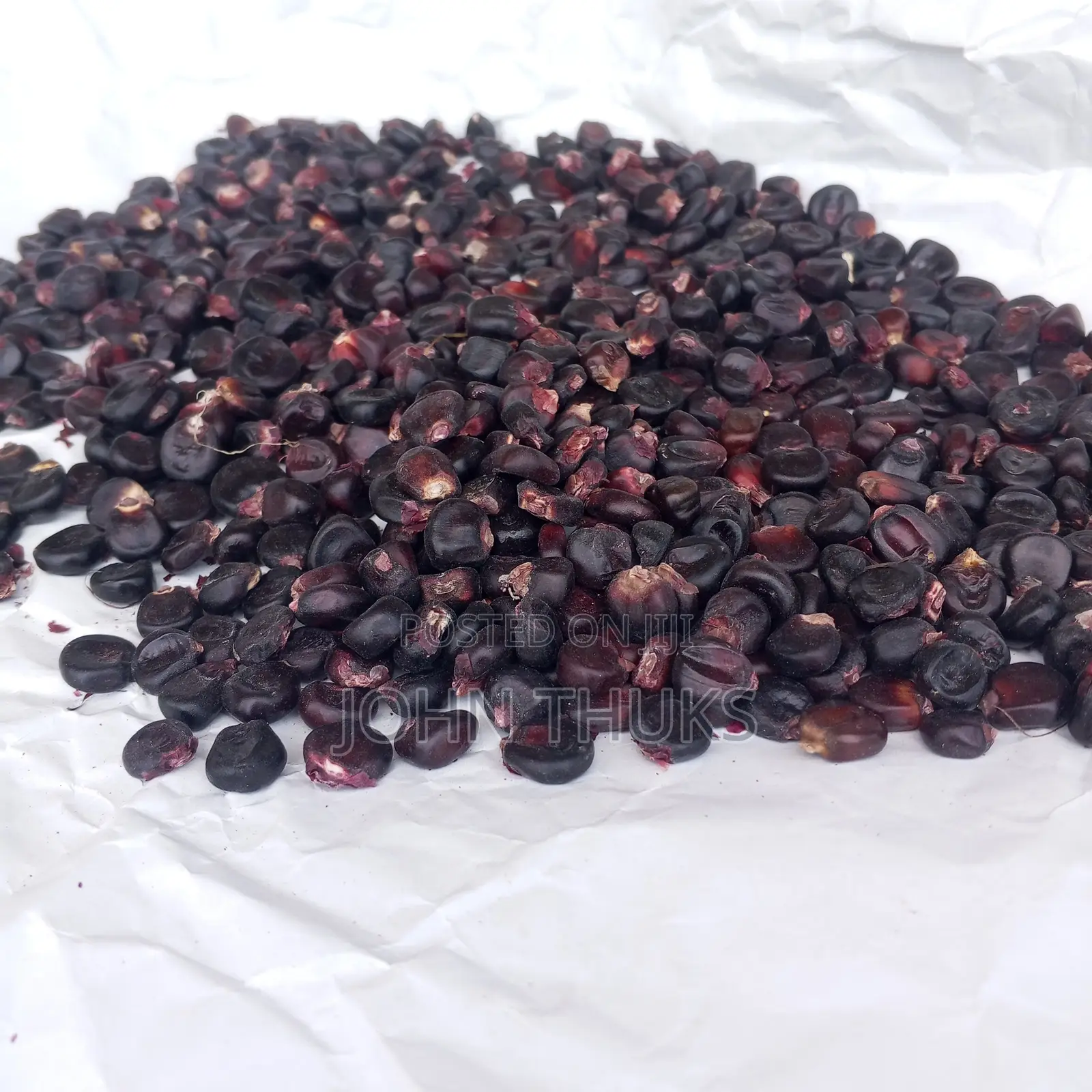 Maize Morado, Heirloom Maize