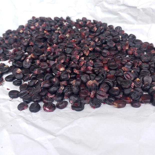 Maize Morado, Heirloom Black Maize - thumbnail 3