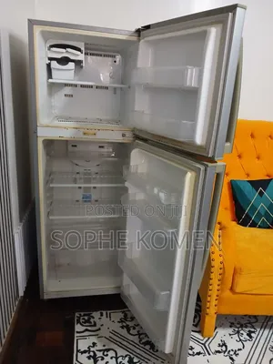 Samsung Fridge