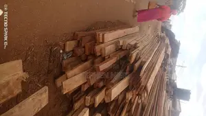 Timber 3/2 and 6/1