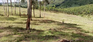 17 Acres for Sale Mawingu Nyandarua