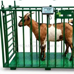 Digital Goat/Sheep Weighing Scale