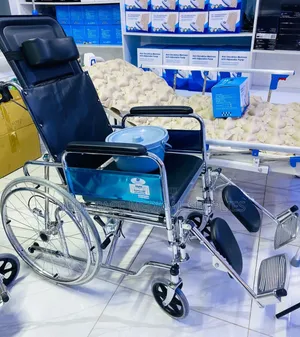 Comfortable and Durable High Back Reclining With Commode