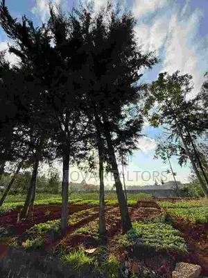 Land in Loresho