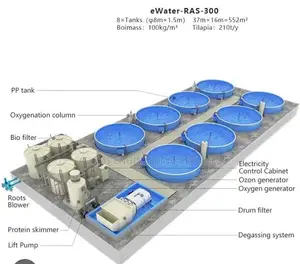 In-Land Fish Farm Design and Construction