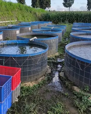 In-Land Fish Farm Design and Construction