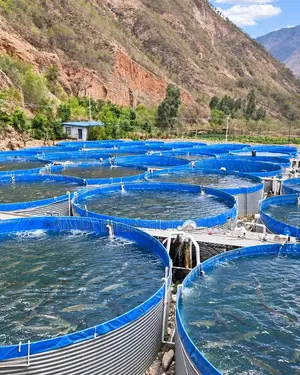 In-Land Fish Farm Design and Construction