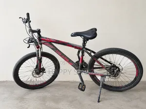 Size 24" Unisex Bicycle