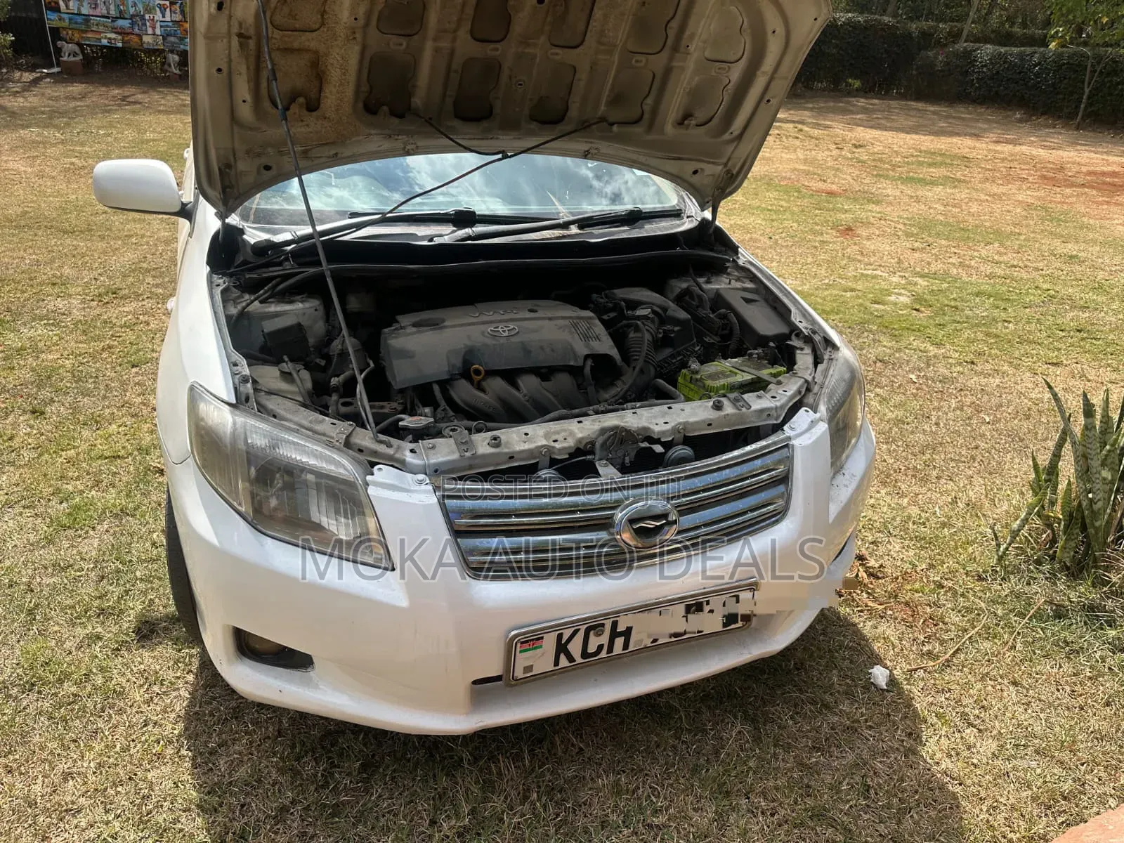 Toyota Axio 1.5 X 4WD 2009 White