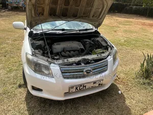 Toyota Axio 1.5 X 4WD 2009 White