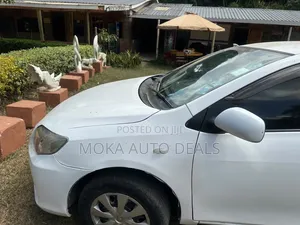 Toyota Axio 1.5 X 4WD 2009 White