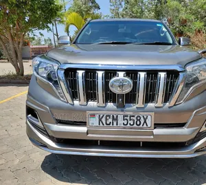 Toyota Land Cruiser Prado 2010 Gray