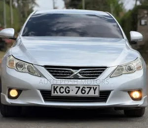 Toyota Mark X 2010 Silver