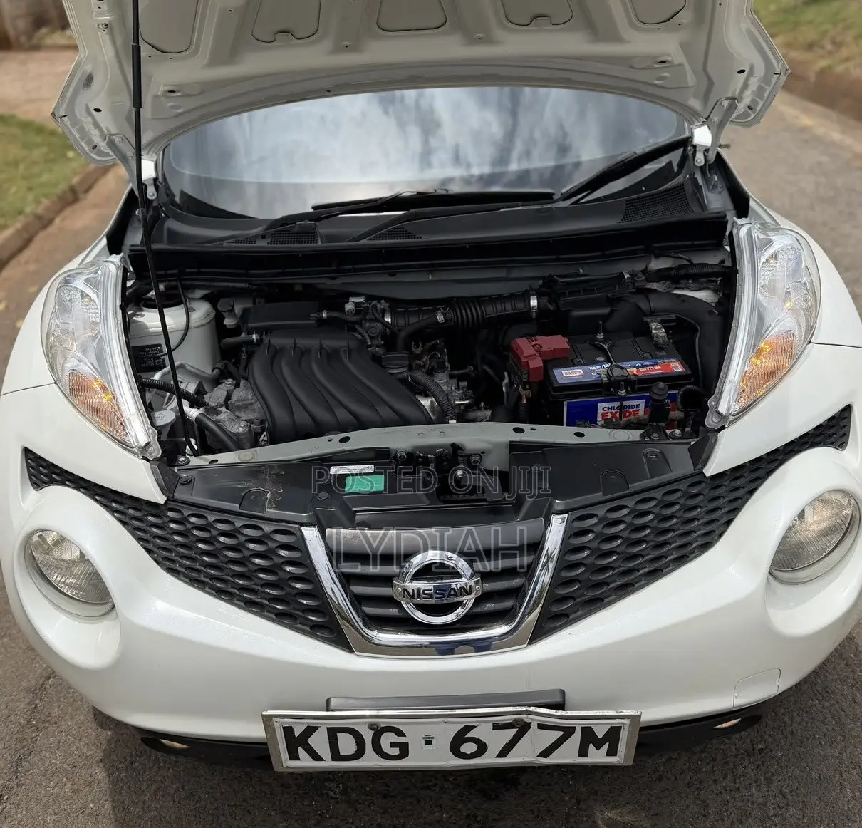 Nissan Juke 2014 White
