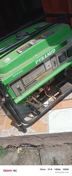 Electric Generator