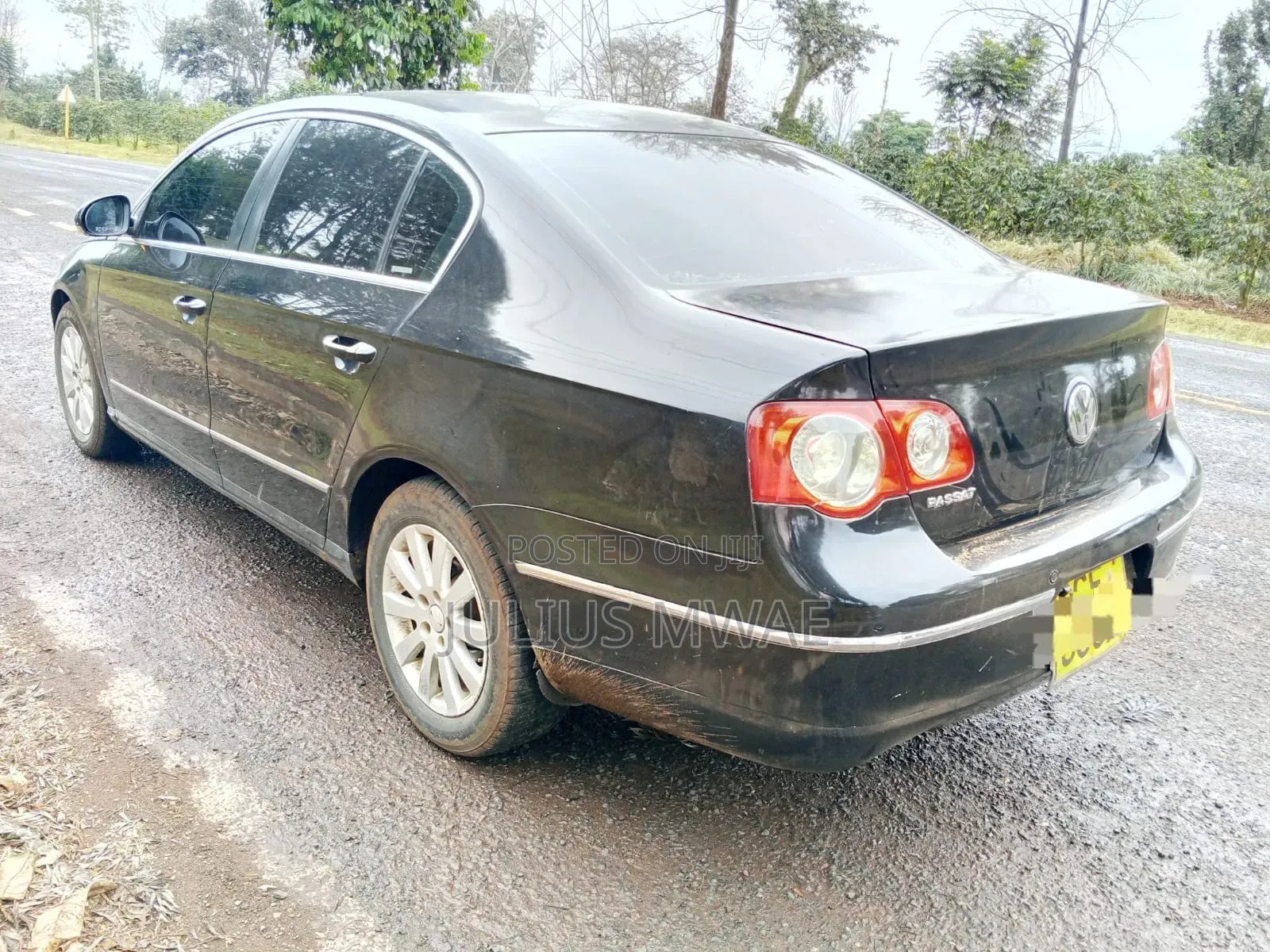 Volkswagen Passat 2008 Green
