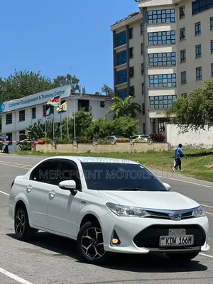 Toyota Axio 2018 Pearl