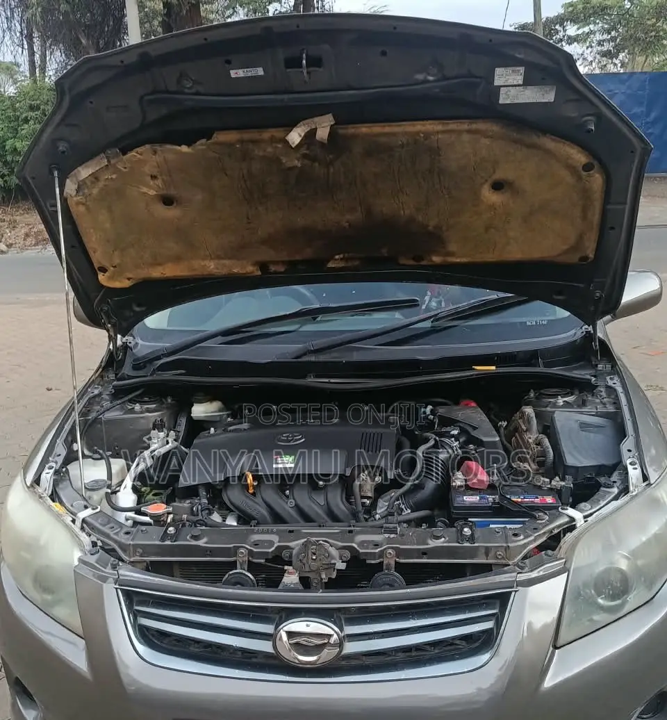 Toyota Corolla Fielder 2010 Gray